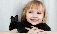 2023年农历二月二十二五行属什么（2023年12个月五行属性）