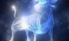 金牛男认真的表现（金牛男想接近你的表现）