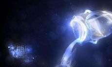 水瓶座是怎样的星座（水瓶座这个星座怎么样）