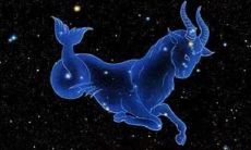 我想看十二星座摩羯座（十二星座中的摩羯座）