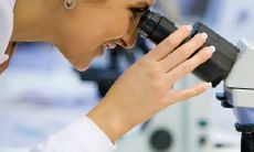 系统测试一般包括四个步骤分别是（系统测试的依据是什么）