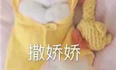 天蝎男与摩羯女的床上体验（天蝎男摩羯女分手谁更痛）