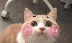 处女座跟水瓶座朋友合不合（水瓶座和什么座不能在一起）