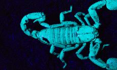 天蝎座的7个幸运数字（12星座专属密码）