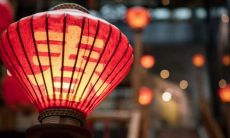 躲春有哪几个属相（属猪的和什么属相最配）