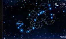 哪个上升星座命最好（上升星座的最佳配对）