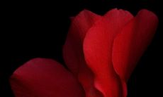 如何与摩羯座男友相处（天蝎男喜欢的相处方式）