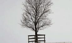 处女座的数字（12幸运星座月份表）