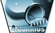 水瓶座与处女座婚姻（处座男水瓶女相处很好）