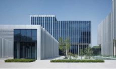 有限责任公司取名要求（梦到了黑色的蛇是什么意思）