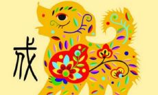 属狗的都哪一年出生（94属狗一生）