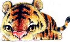 属鸡男和属虎女婚配（属虎女和属鼠男相配吗）