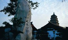 西安哪里算命算的准（西安有个姻缘庙很准的）