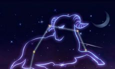 金牛座的人心狠吗（金牛座喜欢什么样的人）