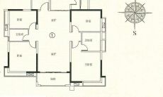 正财偏财大运流年（女走偏财大运预示什么）