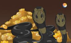 男人梦见各种各样的蛇是什么意思（男人梦到好几条蛇预示着什么）