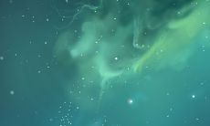 水瓶座几号到几月几号生日（水瓶座的生日是几月到几月份）