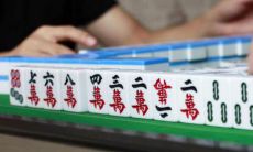 猪年本命年打牌老输怎么办（本命年怎么算）