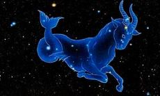 摩羯座的行为特点（摩羯女的典型特征）