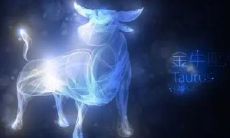 金牛座2023年倒不倒霉（金牛座和射手座配吗）