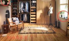 促进桃花运的风水（助旺桃花运的风水布局）