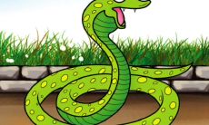 1978年属马男人在2023年怎么样（属马今年运程）