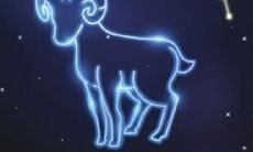 属马白羊座爱上一个人（男人偏爱白羊女）