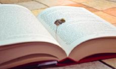 黑盒的测试方法有哪些（亳州西关算命小神童在哪里）