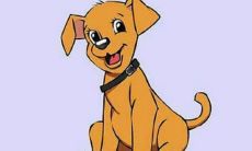 1982属狗2023运势幸运颜色（82属狗未来5年运势）