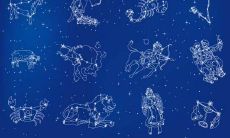 十二星座出生日期农历和阳历（慢的是阴历还是阳历）