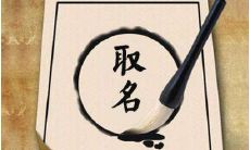 八字起名原则（名字打分测试最准确生辰八字）