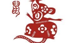 属龙的可以和属鼠的在一起吗（属龙的和属鼠的在一起会怎么样）