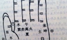 手相的五行划分（手相年龄段划分）