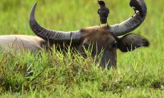 三月财运好的生肖（今天哪些生肖偏财运最好）