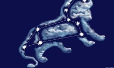 狮子座分手前的预兆（狮子座男生分手前兆）