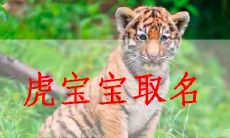 柔字取名的寓意女孩（五行属金寓意女孩最好的字）