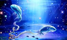 双鱼座出生的人多不多（3月1日出生的人是不是双鱼座）