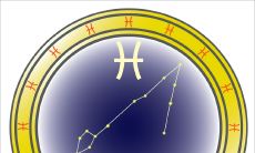 怎样去追双鱼座女生（如何让双鱼座女生开心）