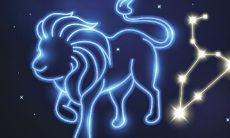 属猴女的性格和爱情观（属猴女人的性格和优缺点有哪些）