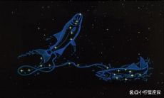 最宠双鱼女的星座（十二星座谁最爱双鱼女）