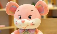 96年属鼠2023年有什么喜事（2023年属什么生肖年）