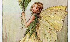 处女座牛年运势（水瓶座今日运势）