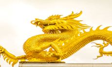 四十五岁属龙什么命（属龙的过了45岁就顺了）