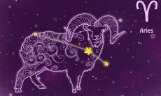 白羊座干嘛呀（白羊座和摩羯座配吗）