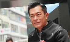 属猪的都有哪些大人物（属马的大人物）