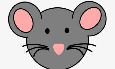 2023运势好（2023运气预测）