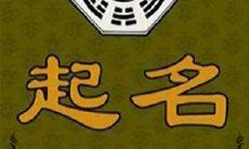 八字起名怎么样（免费起名字测试打分）