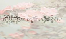 十二星座的性格和命运准么（12星座性格特点）