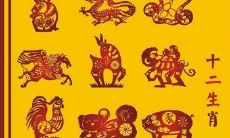 林中野人带两狗是什么生肖（雨凡八字看姻缘庚子）