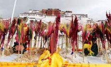 女生本命年带什么东西能转运（本命年戴什么项链可以转运）